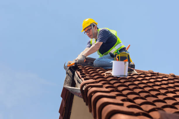 Best Storm Damage Roof Repair  in Oliver Springs, TN